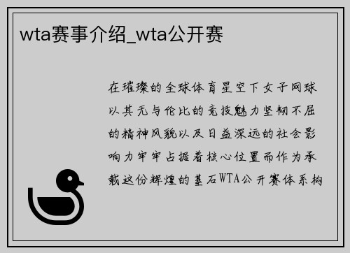 wta赛事介绍_wta公开赛